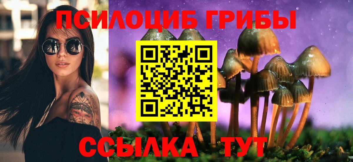 Псилоцибиновые грибы мицелий  Вход с VPN  Псилоцибиновые грибы Magic Shrooms  Кизилюрт 